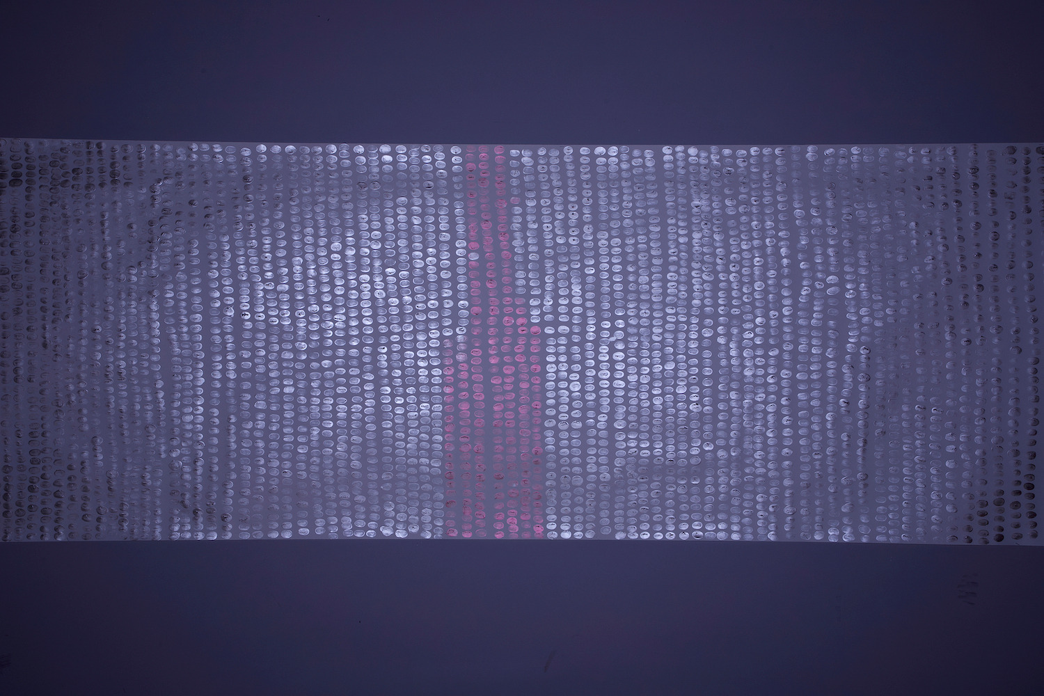 The Art History in the Curator's Hands