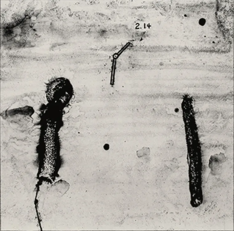 David Lynch: The Visual Genius Who Wrote the Poetry of Darkness