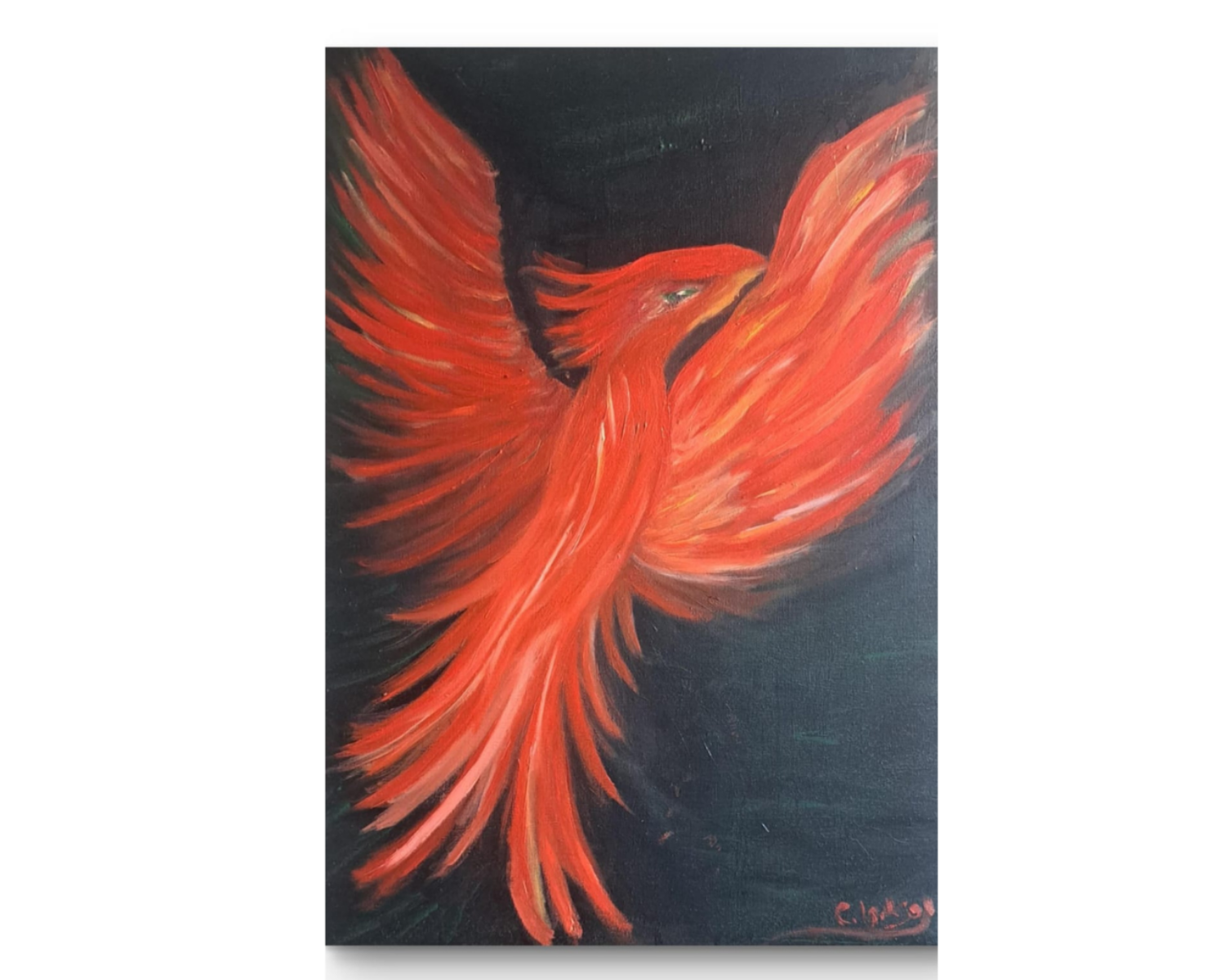 صعود طائر العنقاء