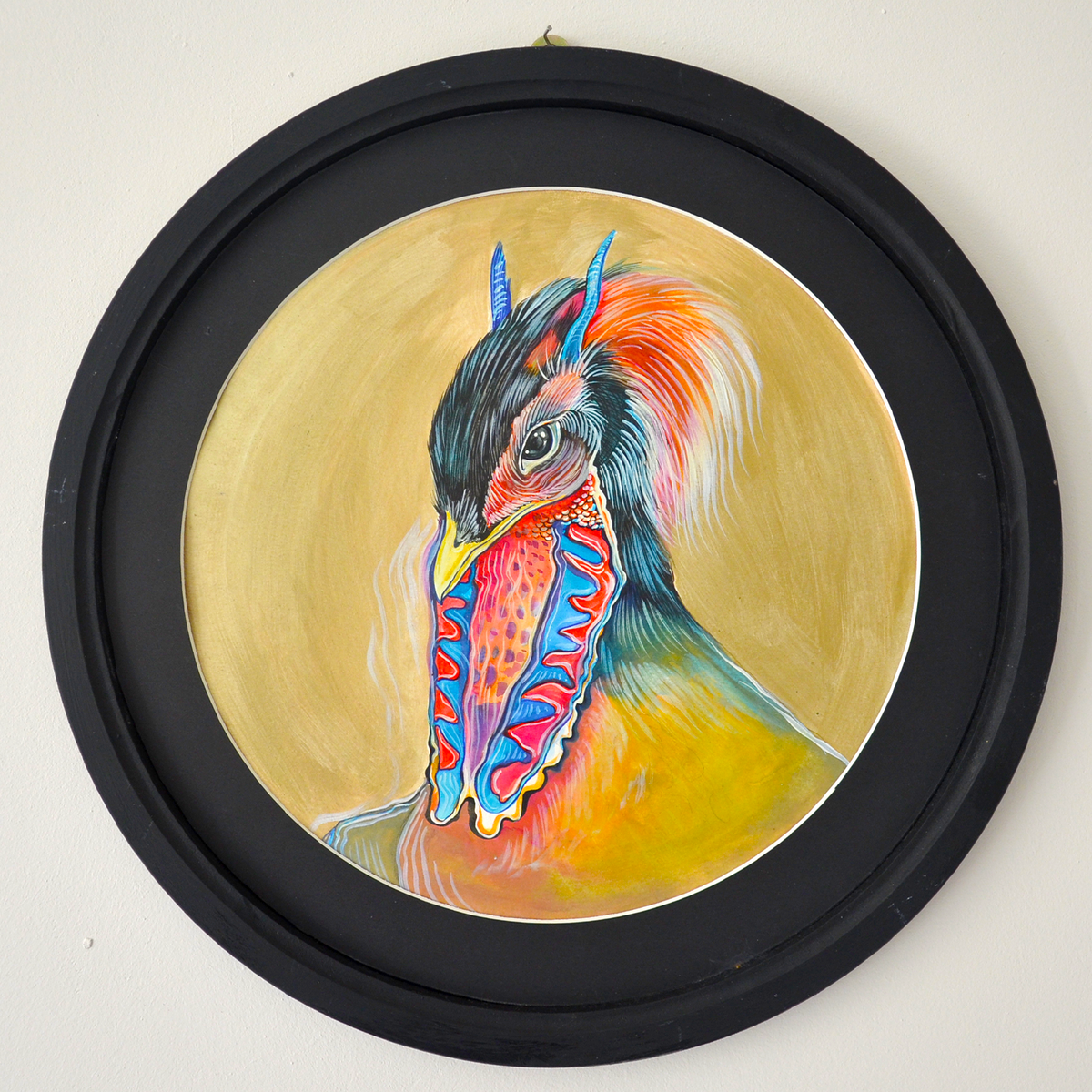 Tragopan Vogel Porträt - Rundes Speziell Gerahmtes Original Kunstwerk Gemälde