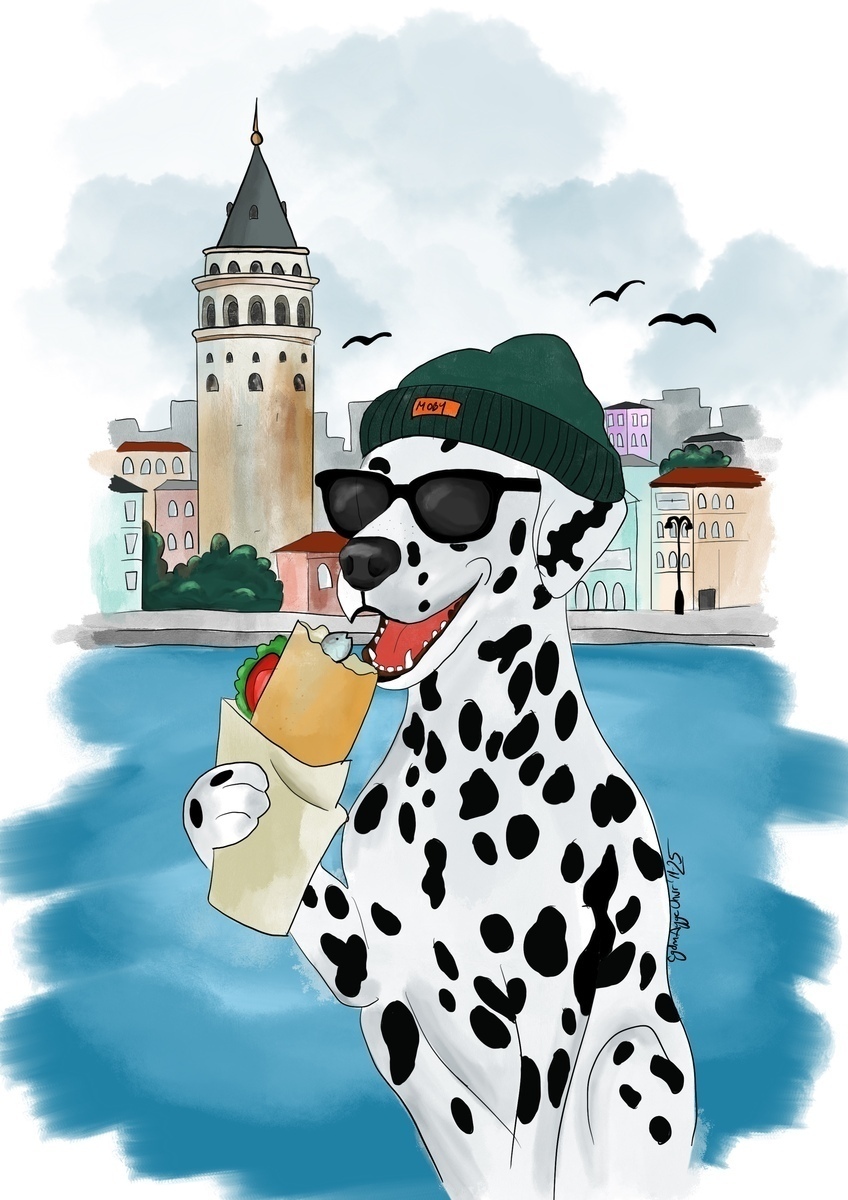 Moby Somewhere I İstanbul