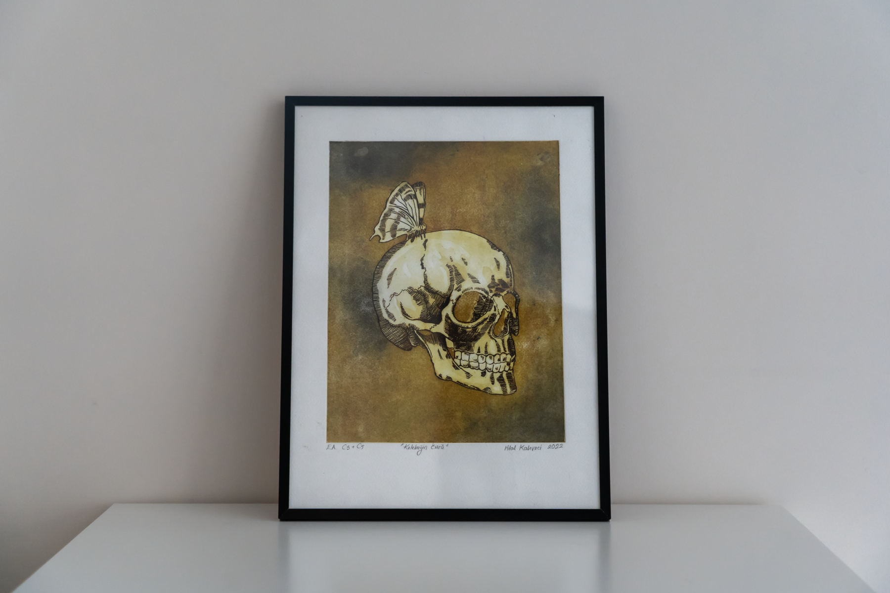 The Life of the Butterfly