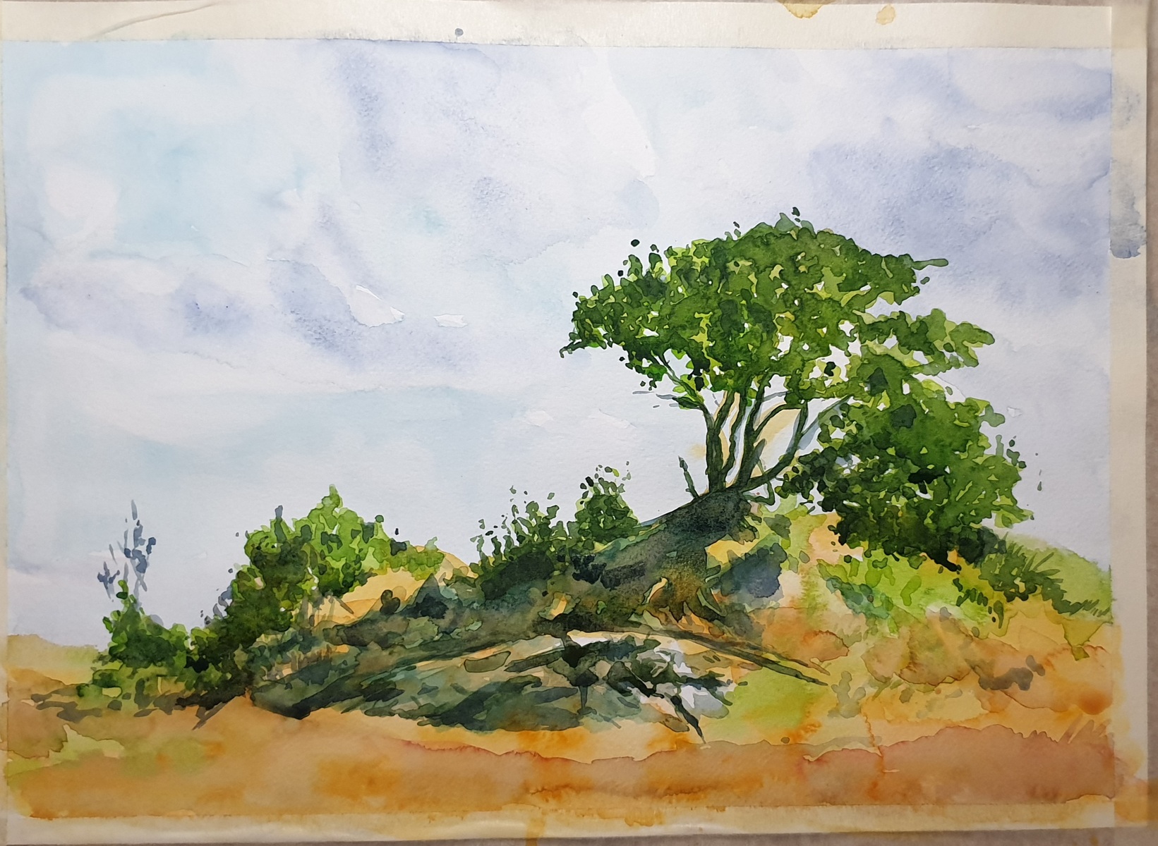 Watercolor