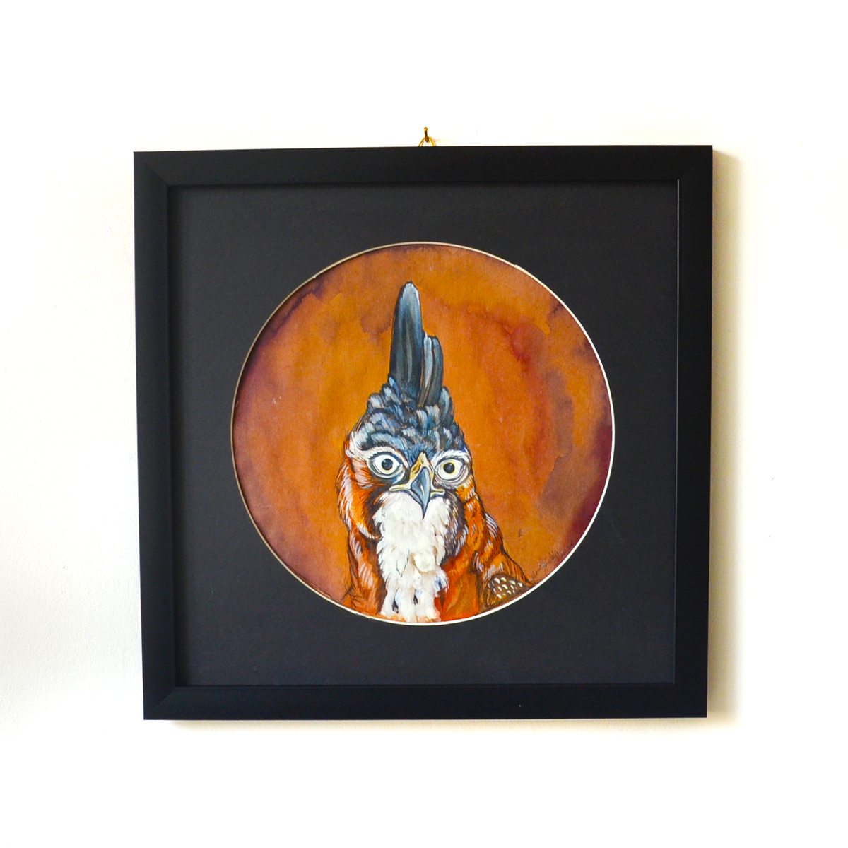 Bird Portrait - Hawk Portrait | Original Nature & Bird Themed Artwork