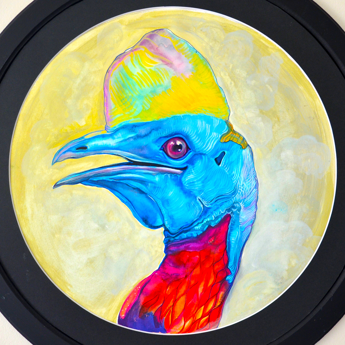 Cassowary Bird Portrait