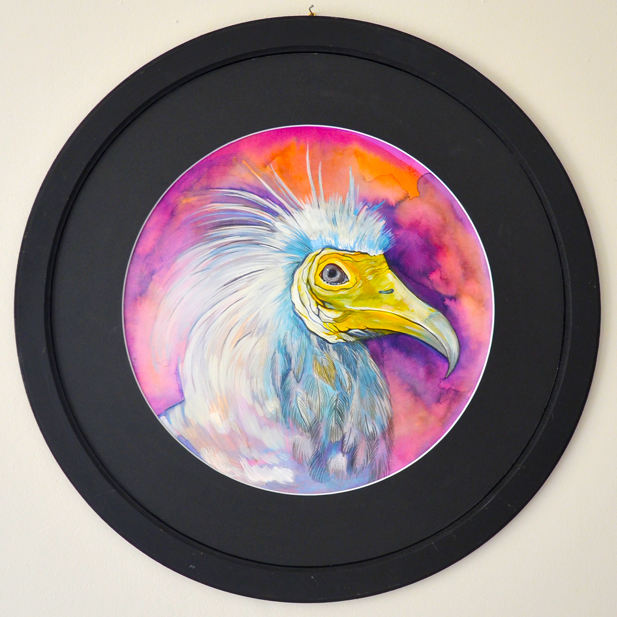 Egyptian Vulture Portrait (Neophron Percnopterus) - Black Round Framed Original Artwork Painting