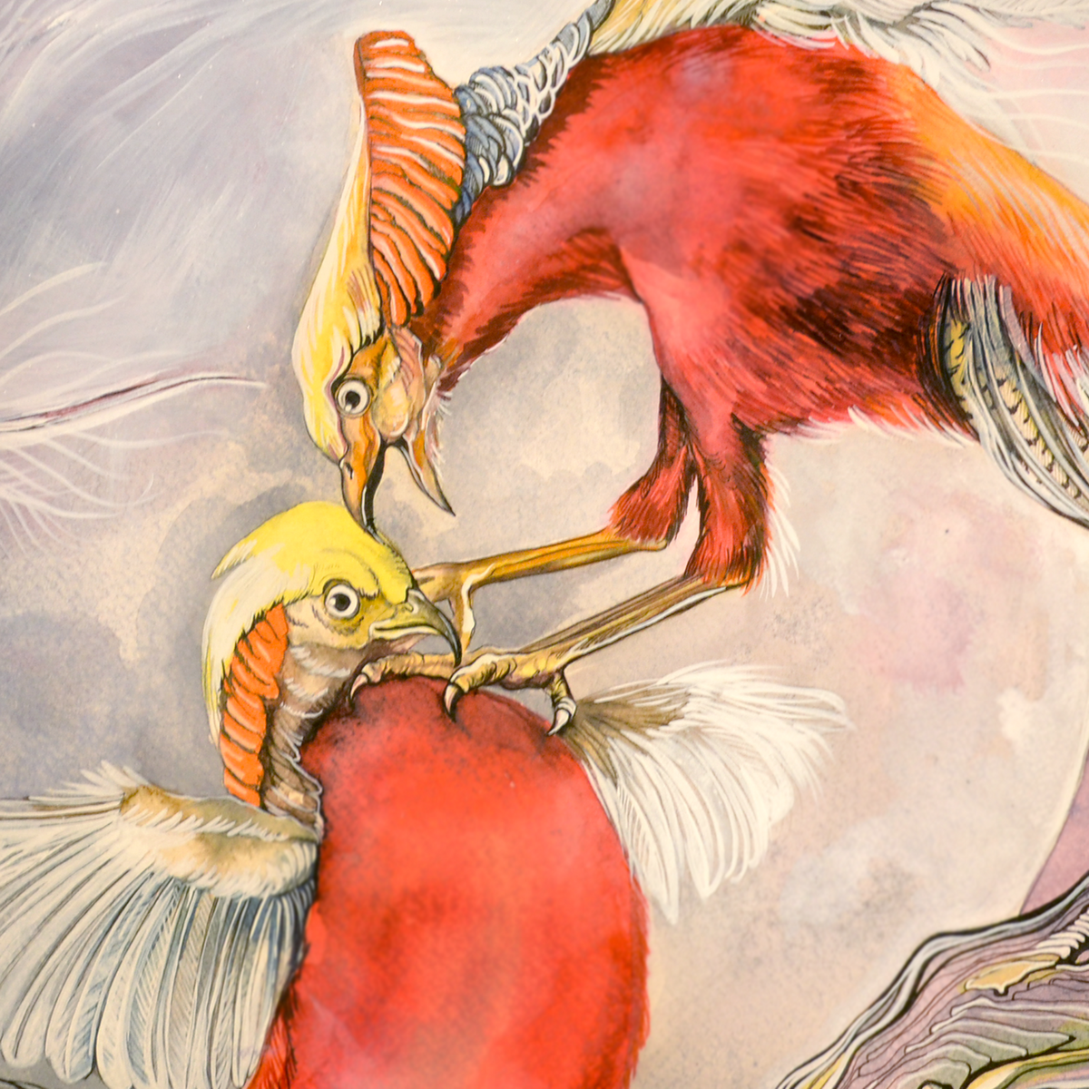 pheasants in the full moon