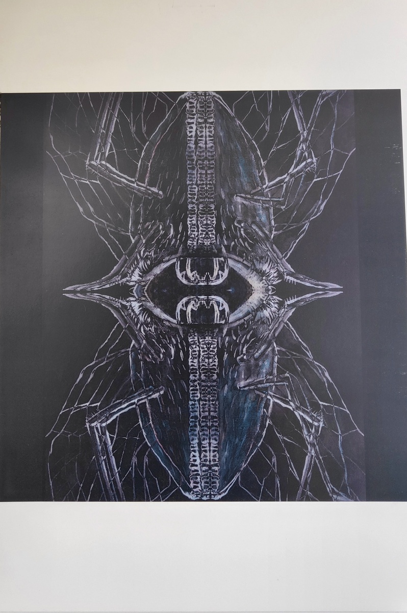 Insecte2