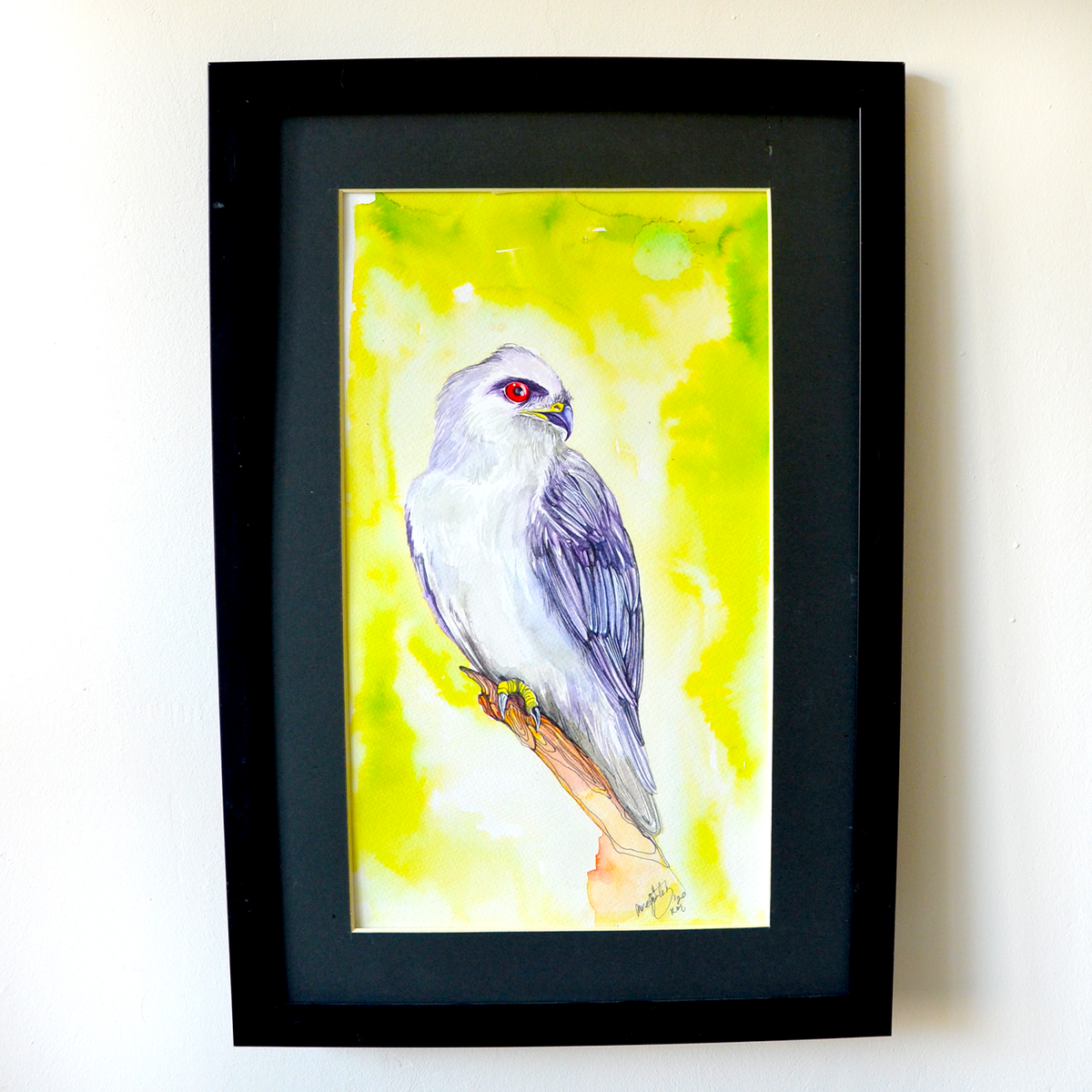 Faucon aux Yeux Rouges | Œuvre d'Art Originale sur le Thème des Oiseaux et de la Nature