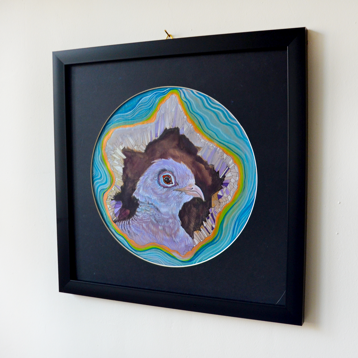 Pigeon de roche | Œuvre d'art originale de la collection spéciale Portraits d'oiseaux