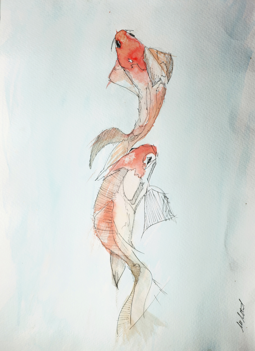 Koi