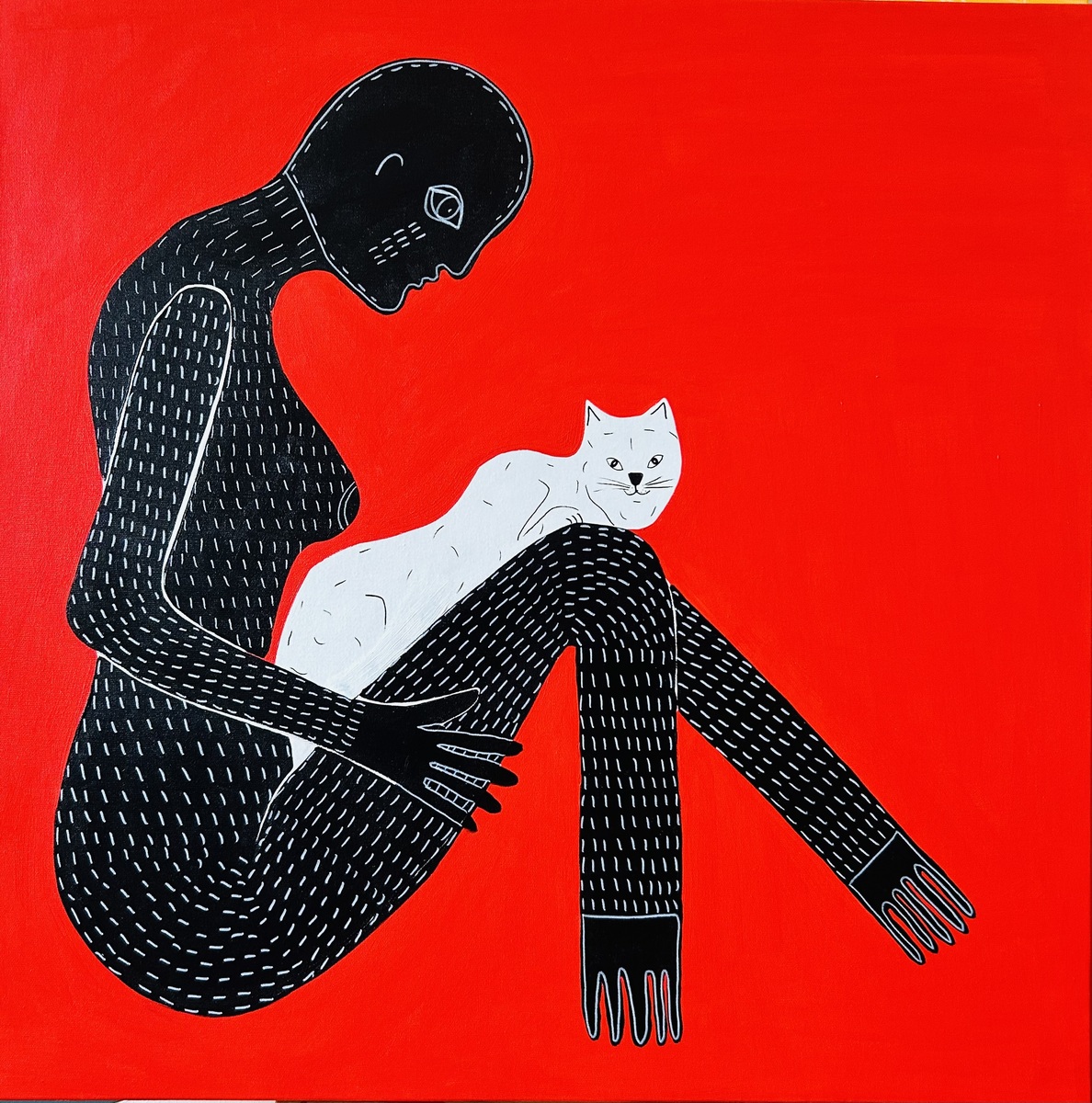 IL MIO GATTO E IO