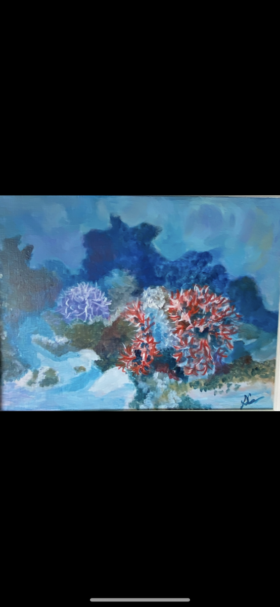 Barriere Coralline