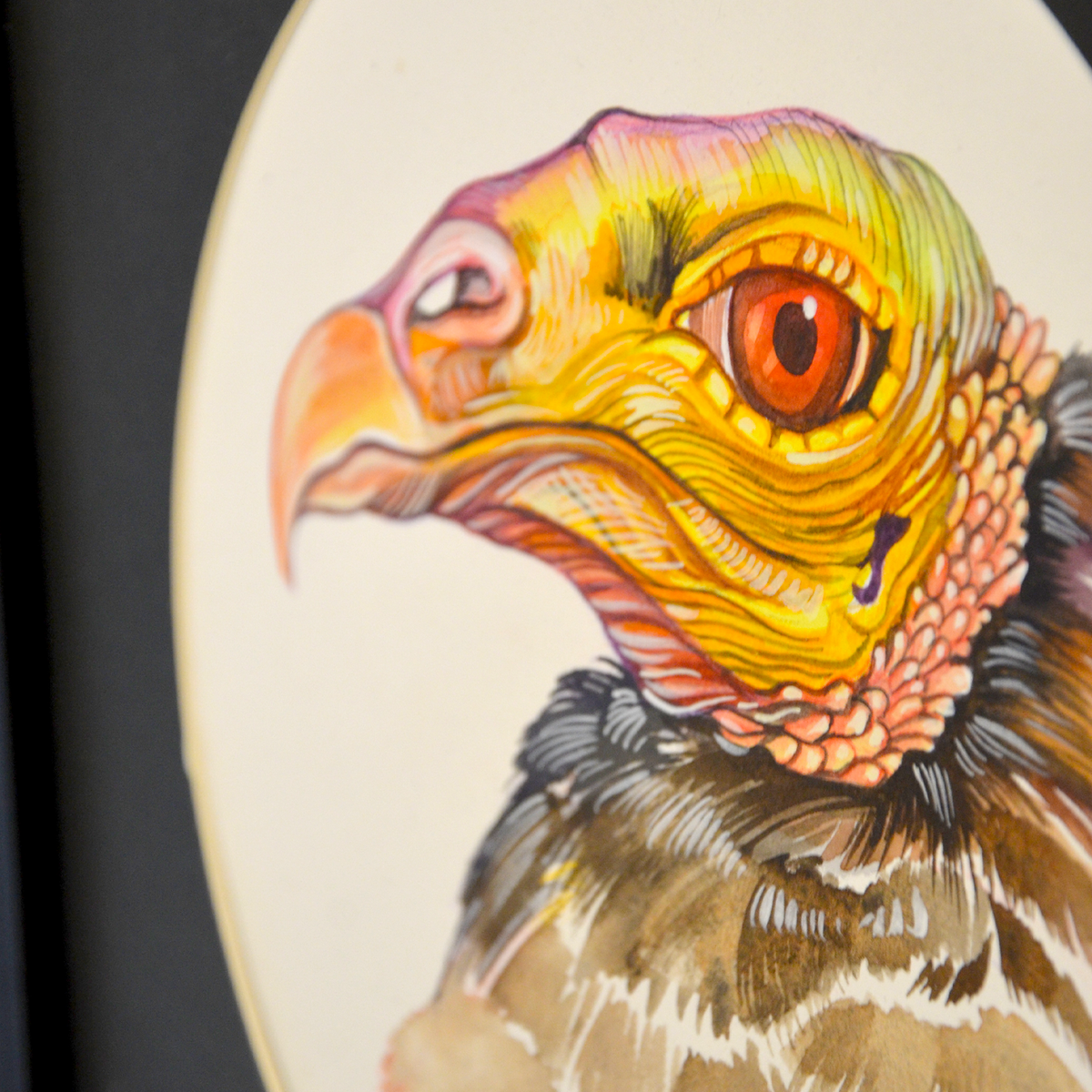 Portrait Of The Vulture-3- Opera d'Arte Originale Incorniciata Collezione Speciale Quadro