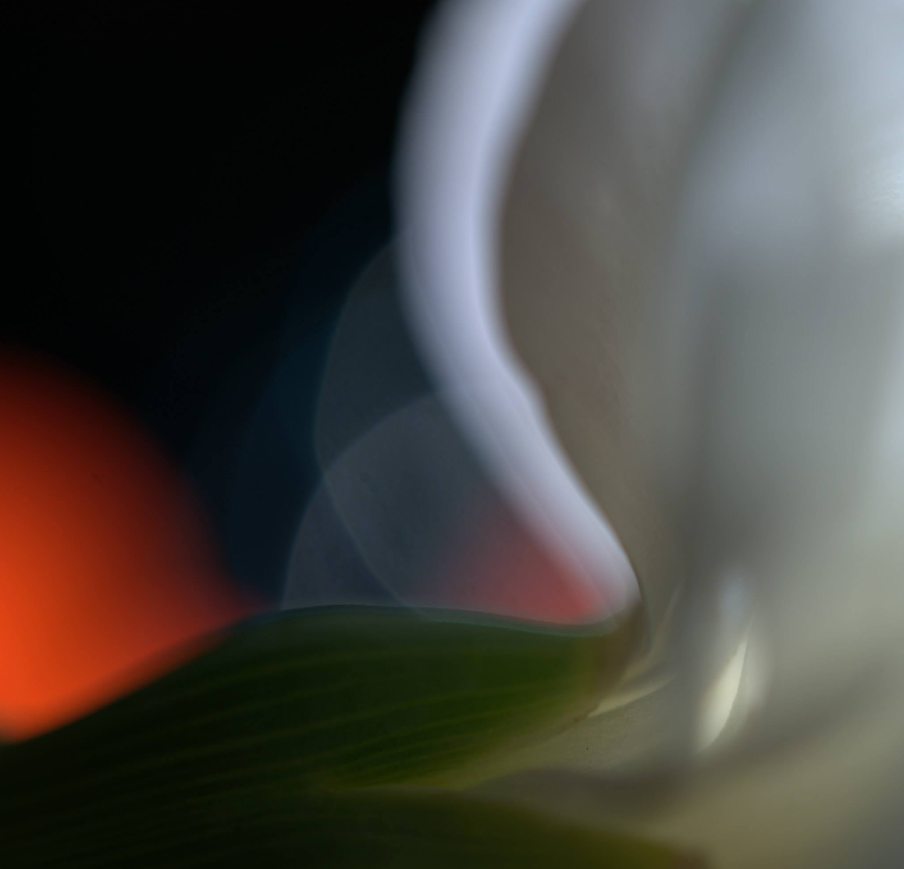 Twist