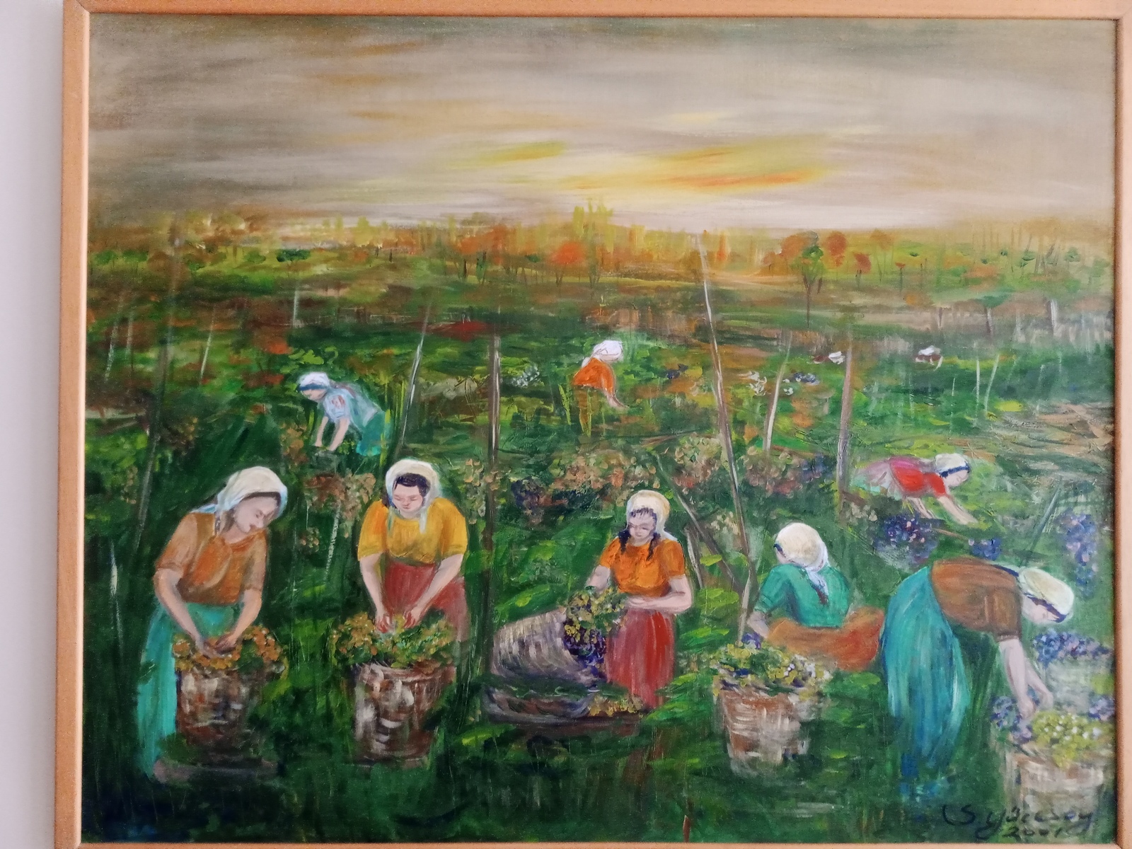 Сбор винограда