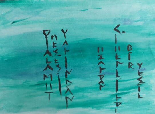منظور بلوطة: شعر بصري