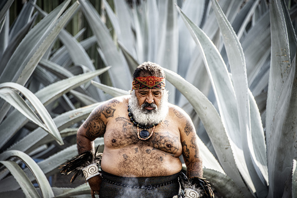 Wurzeln der Ahnen - Mexic