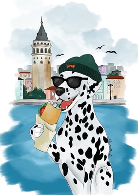 Moby Irgendwo I Istanbul