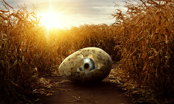 The Eye of Awakening