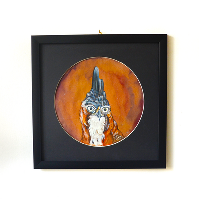 Vogelporträt - Falkenport