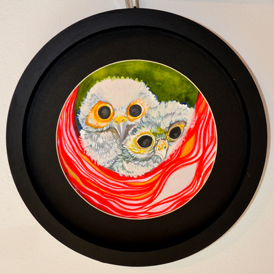 Zwei junge Eulen im Nest 