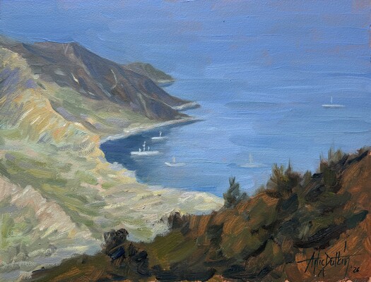 Aegean coasts