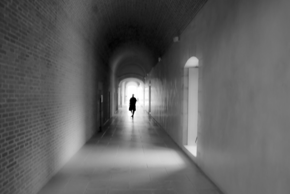 Witness Without Voice - O