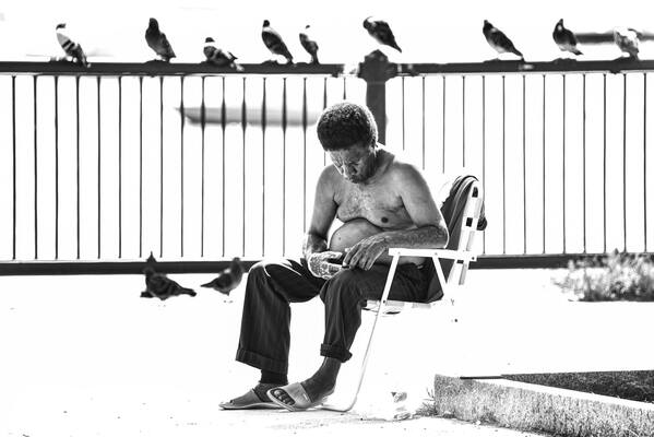 Méditation avec les Oisea