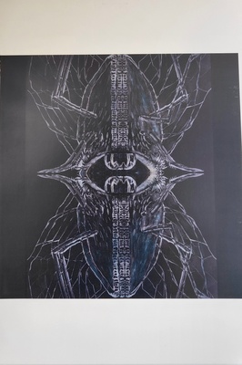 Insecte2