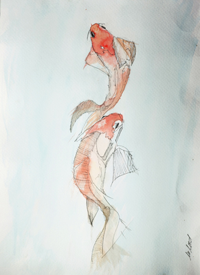 Koi