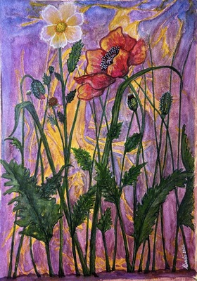 Primavera dei Colori