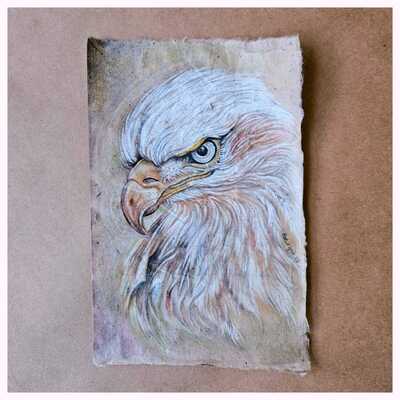 AQUILA