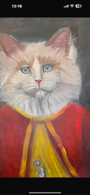 Gattino