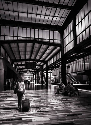 Linee e percorsi (Version