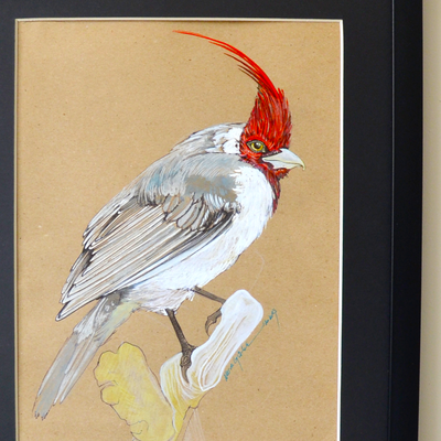 Cardinale