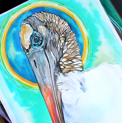 Uccello