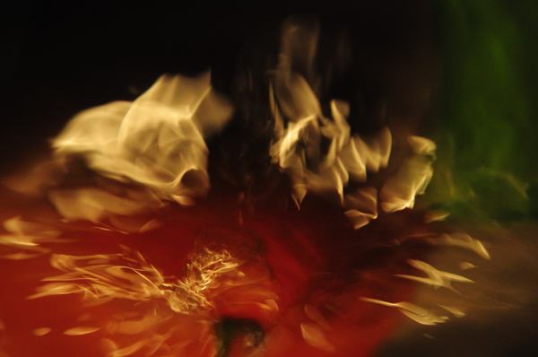 Fire Dance with Me