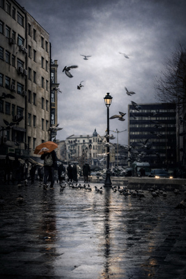 Yağmurda kanat sesleri