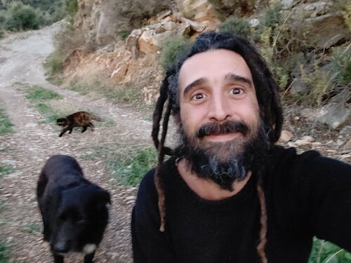 Onur Alptekin